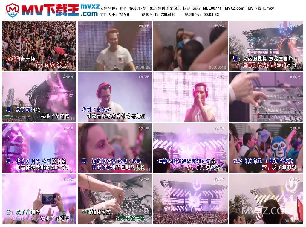 暴林_乔玲儿-发了疯的想拼了命的忘_国语_流行_MEE00771